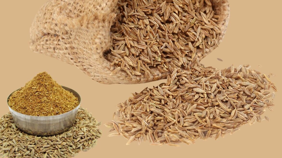 premium-cumin-seeds-and-powder-manufacturer-supplier-exporter Indian Cumin Seed & Powder Manufacturer Supplier United Arab Emirates (UAE), USA, UK, and more